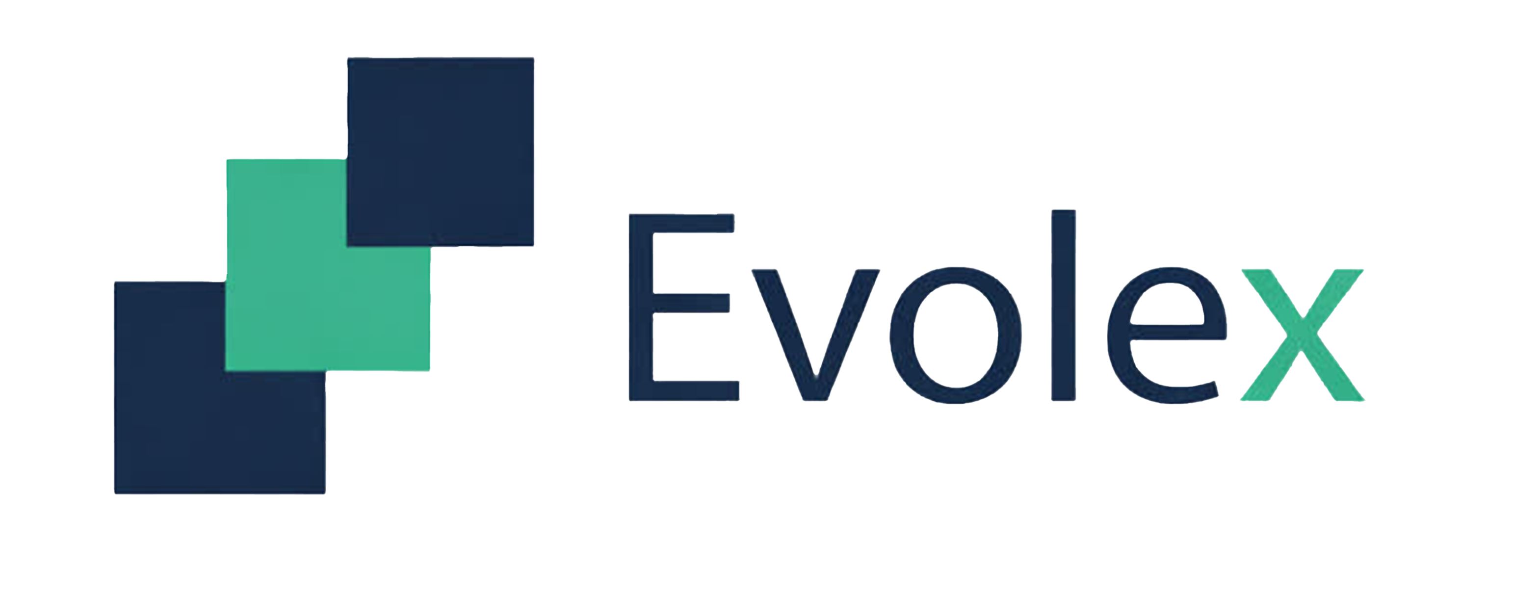 لوگوی EvoleX - تبدیل ایده به واقعیت